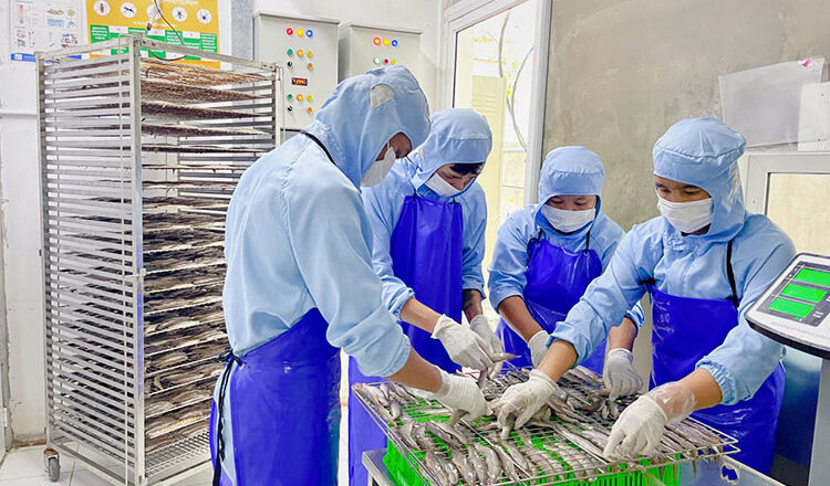 MSMEs get credit guarantees of $305 million